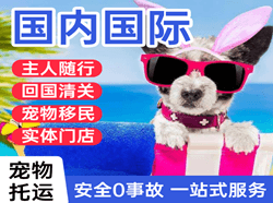 鄂托克旗乌兰国际宠物托运 【国
